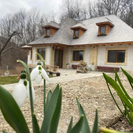 فيلا Casa Cu Sindrila Vălenii de Munte المظهر الخارجي الصورة