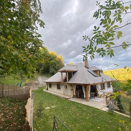 فيلا Casa Cu Sindrila Vălenii de Munte المظهر الخارجي الصورة