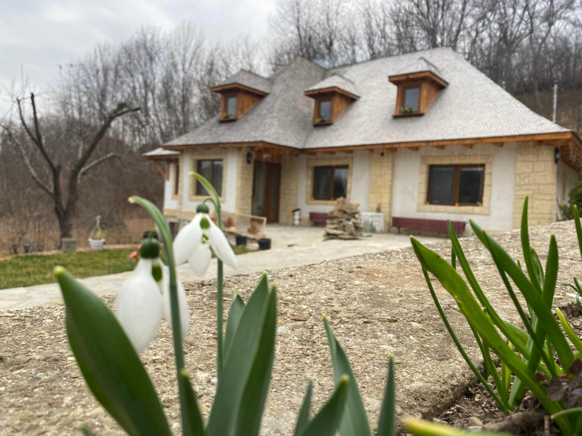 فيلا Casa Cu Sindrila Vălenii de Munte المظهر الخارجي الصورة