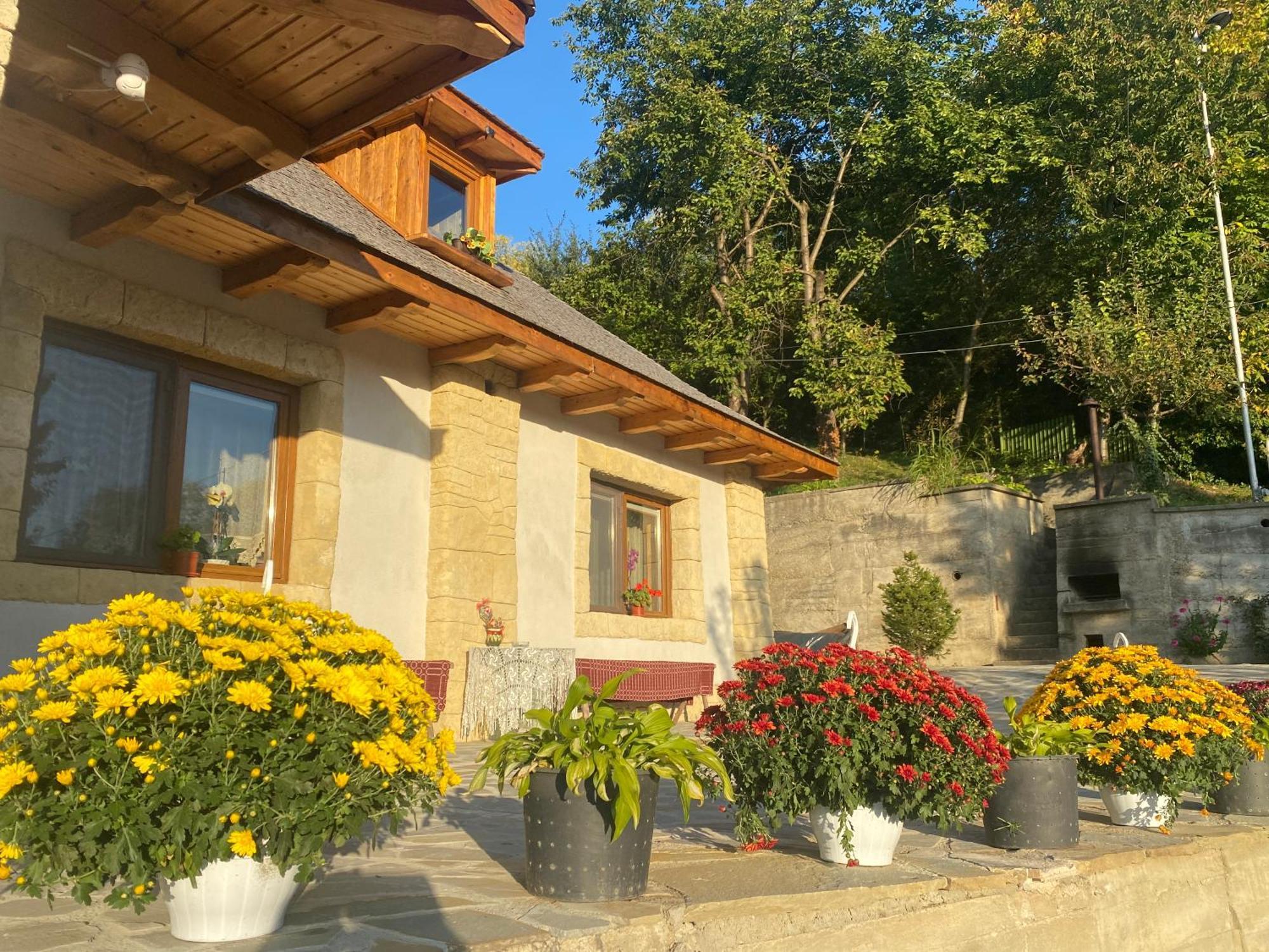 فيلا Casa Cu Sindrila Vălenii de Munte المظهر الخارجي الصورة