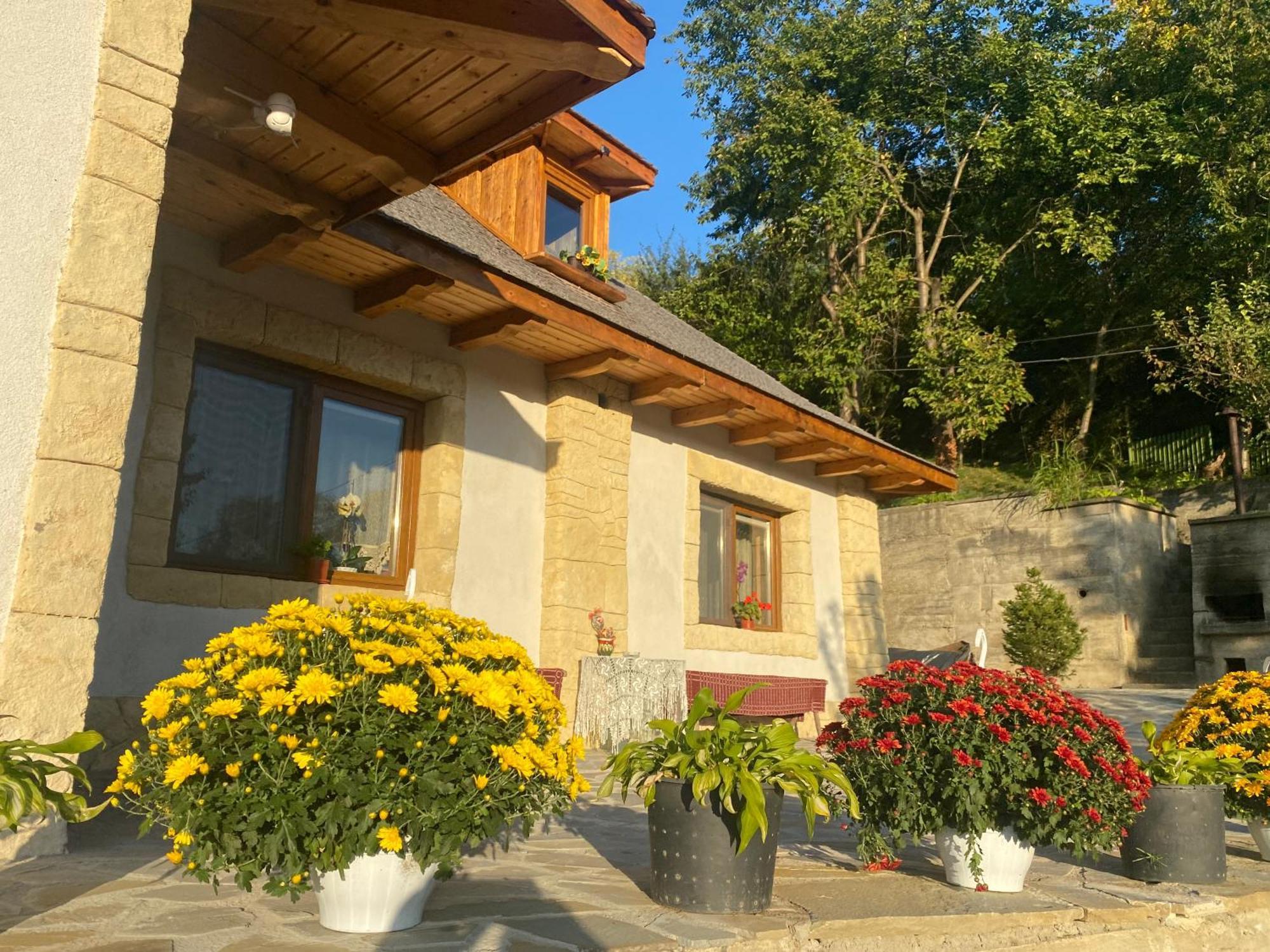 فيلا Casa Cu Sindrila Vălenii de Munte المظهر الخارجي الصورة