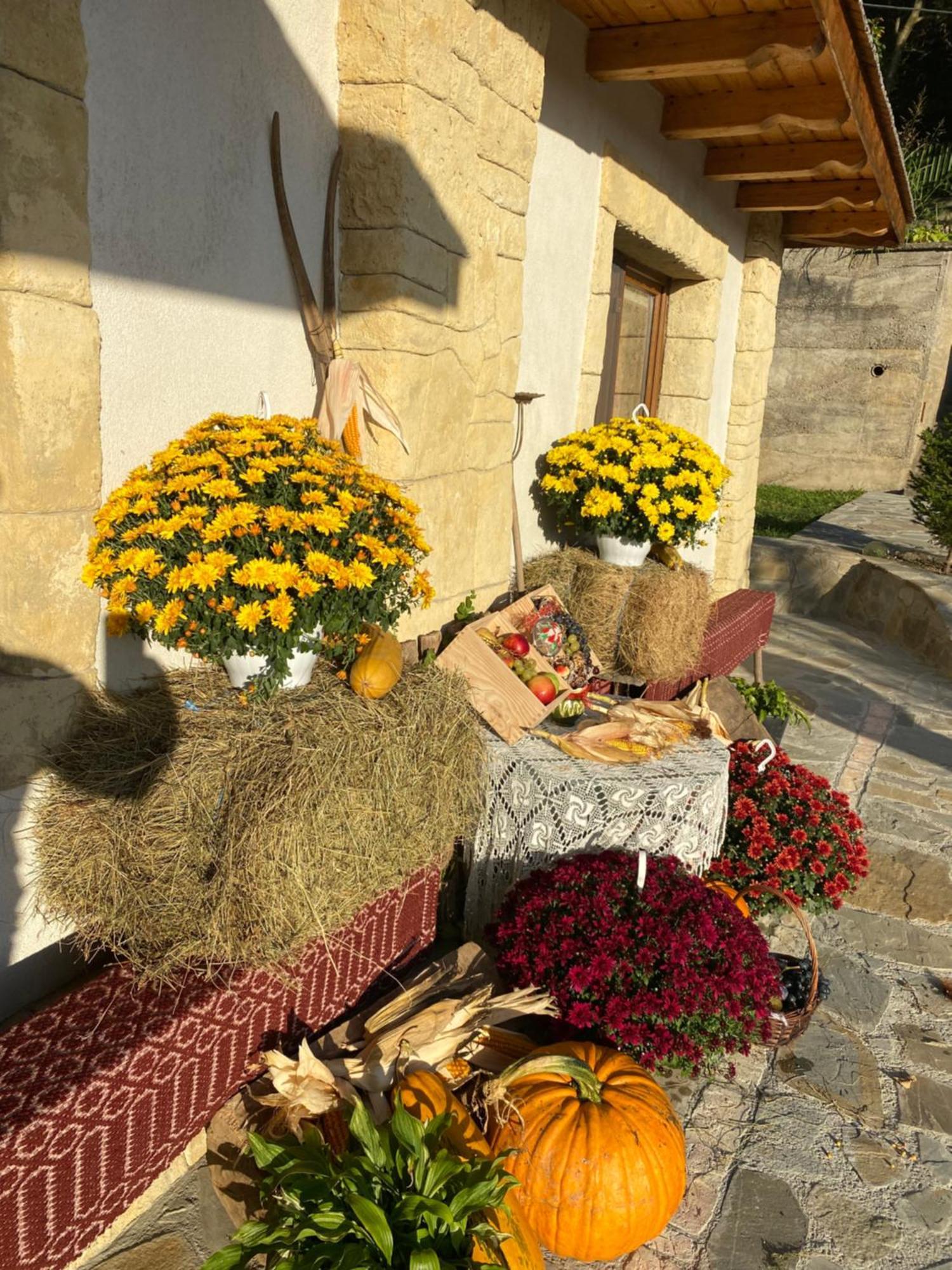 فيلا Casa Cu Sindrila Vălenii de Munte المظهر الخارجي الصورة